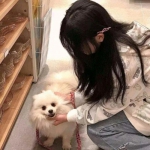 逍遥三国美人版游戏最新版下载